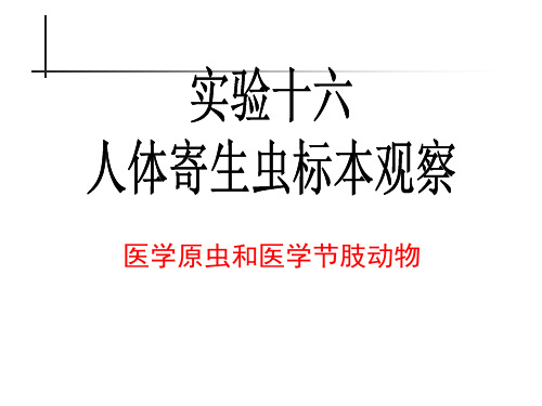 实验16人体寄生虫实验医学原虫医学节肢动物