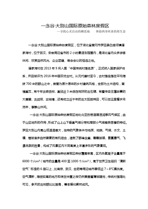 一念谷·大别山国际原始森林度假区