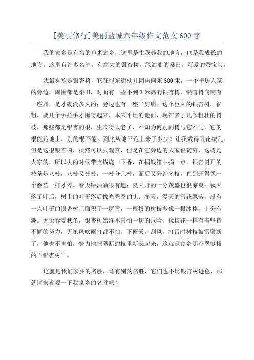 [美丽修行]美丽盐城六年级作文范文600字