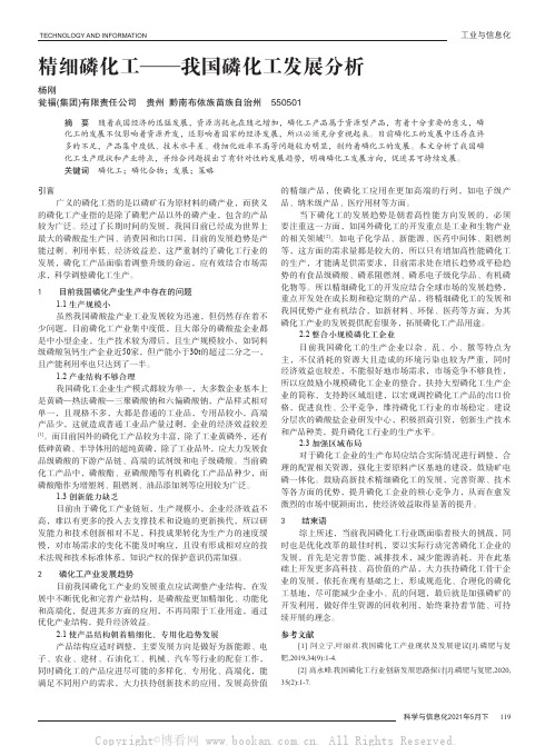 精细磷化工——我国磷化工发展分析