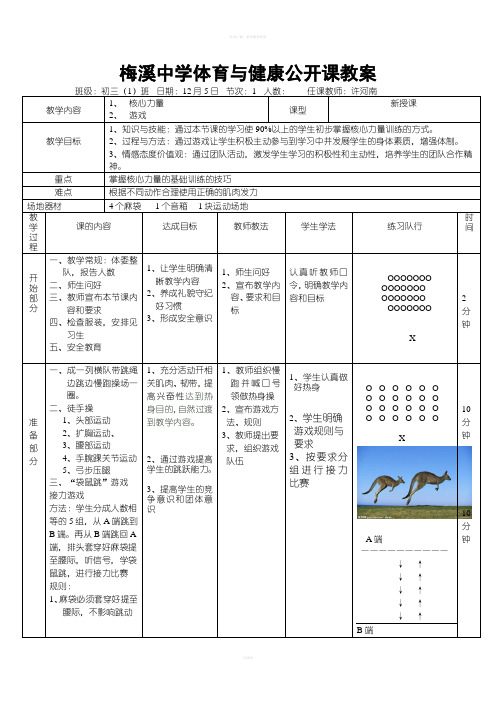 核心力量公开课教案