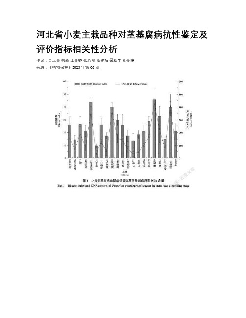 河北省小麦主栽品种对茎基腐病抗性鉴定及评价指标相关性分析