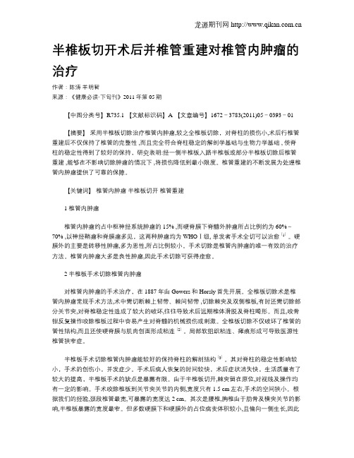 半椎板切开术后并椎管重建对椎管内肿瘤的治疗