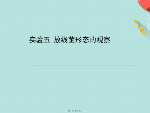 放线菌形态的观察(共10张PPT)