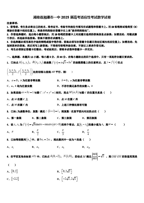 湖南省湘潭市一中2025届高考适应性考试数学试卷含解析