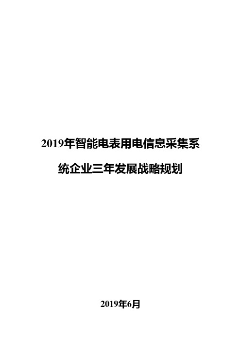 2019年智能电表用电信息采集系统企业三年发展战略规划