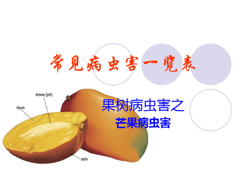 芒果常见病虫害一览表知识讲解