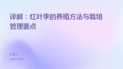 详解：红叶李的养殖方法与栽培管理要点