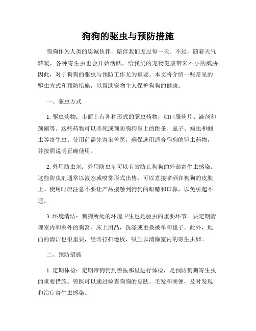 狗狗的驱虫与预防措施