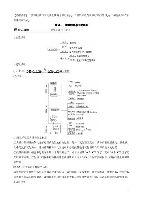 (浙江选考)高考大一轮复习第7讲细胞呼吸讲义(生物)