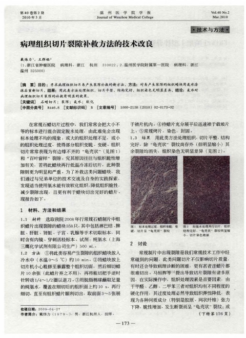 病理组织切片裂隙补救方法的技术改良