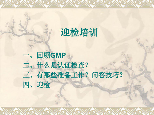 GMP认证迎检培训 PPT课件