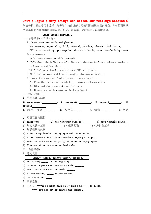 福建省南安市石井镇厚德中学八年级英语下册 Unit 5 Topic 3 Many things ca