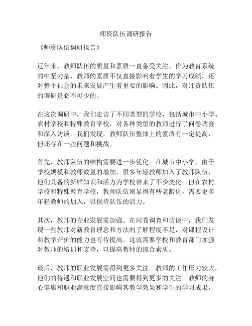 师资队伍调研报告