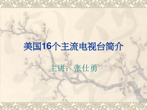 美国16个主流电视台简介ppt课件