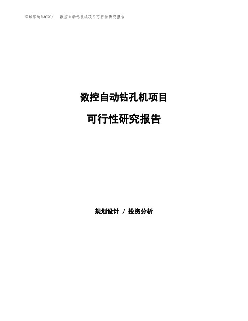 数控自动钻孔机项目可行性研究报告模板及范文