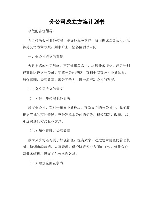 分公司成立方案计划书