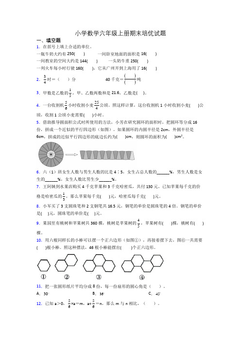 小学数学六年级上册期末培优试题