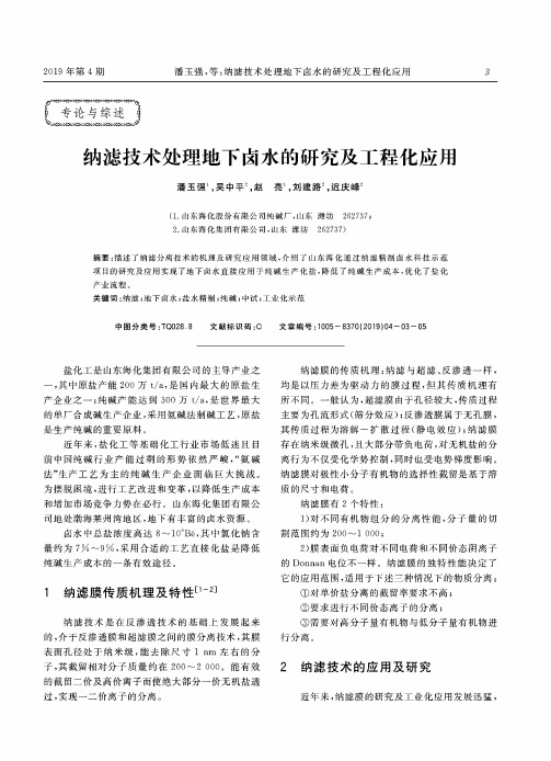 纳滤技术处理地下卤水的研究及工程化应用