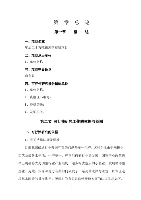 年加工5万吨磁选铁精粉项目可行性研究报告