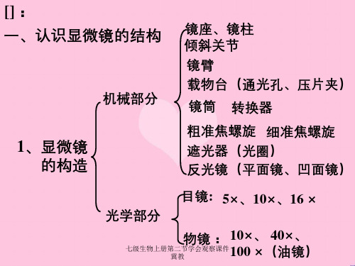 七级生物上册第二节学会观察课件冀教