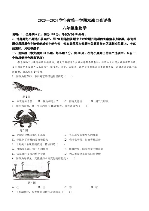 广东省鹤山市2023-2024学年八年级上学期期末生物试卷(含答案)