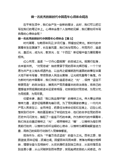 做一名优秀的新时代中国青年心得体会精选