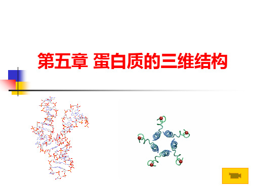 生物化学 第5章蛋白质三维结构