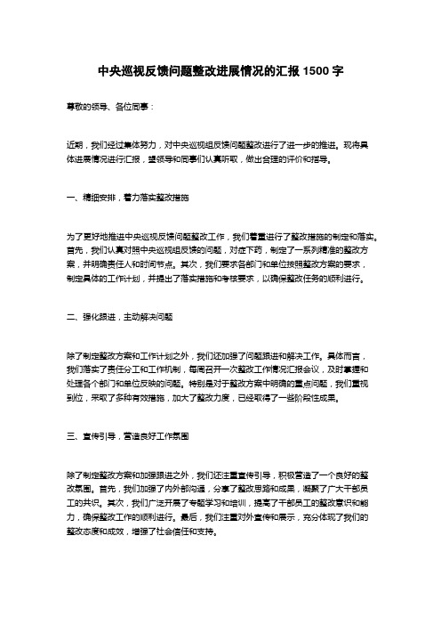 中央巡视反馈问题整改进展情况的汇报