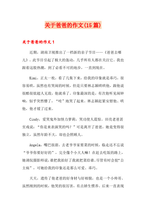 关于爸爸的作文(15篇)