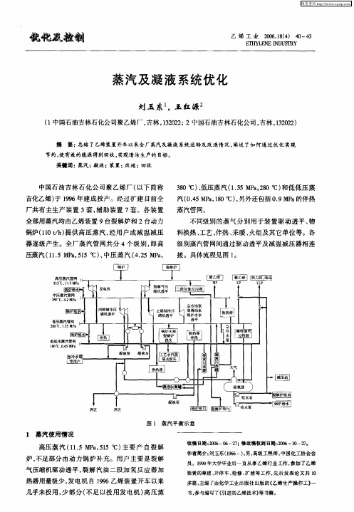 蒸汽及凝液系统优化