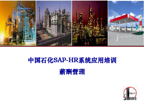 中国石化SAP-HR系统功能培训(薪酬、人工成本培训)