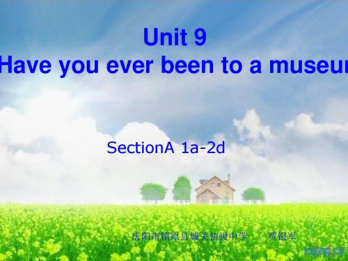 英语人教版八年级下册Unit9   Have you ever been to