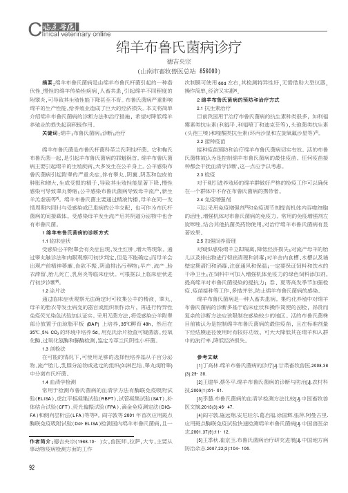 绵羊布鲁氏菌病诊疗