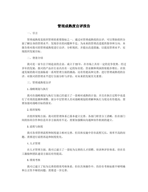 管理成熟度自评报告