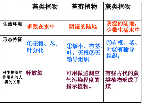 被子植物的一生复习课件