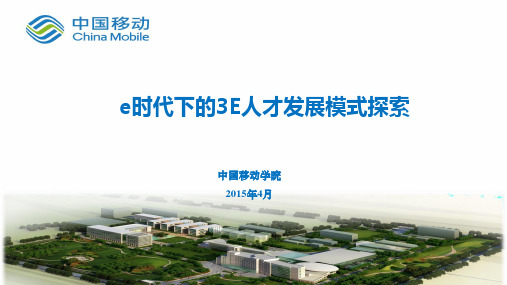 刘学艳:e时代下的E人才发展模式探索资料重点