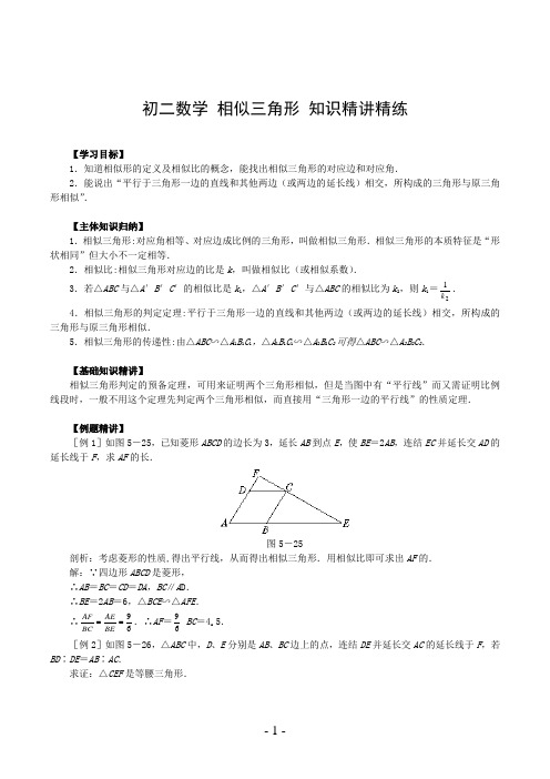 初二数学 相似三角形 知识精讲精练