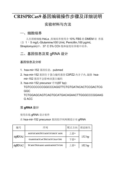 CRISPRCas9基因编辑操作步骤及详细说明