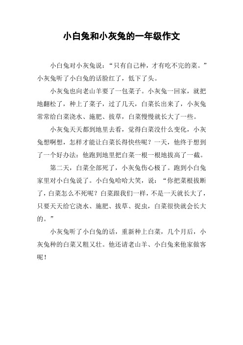 小白兔和小灰兔的一年级作文