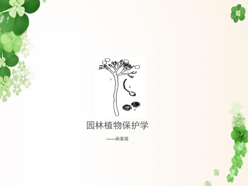 植物保护学病虫害防治PPT.ppt