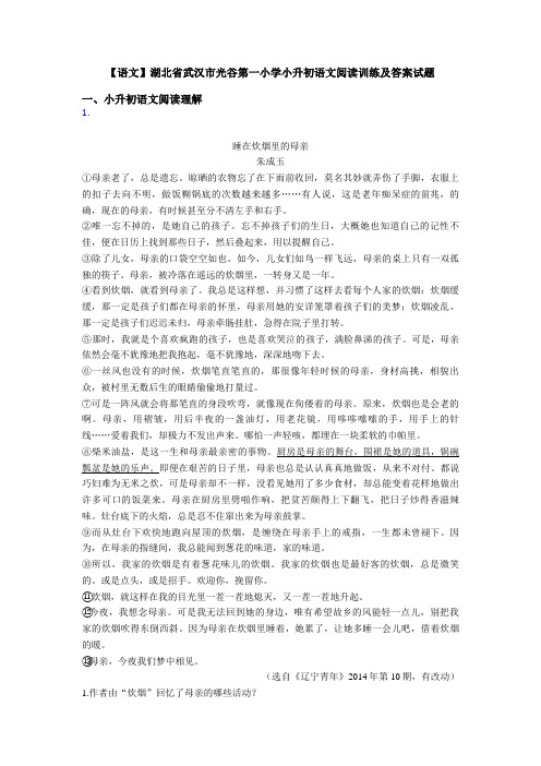 【语文】湖北省武汉市光谷第一小学小升初语文阅读训练及答案试题