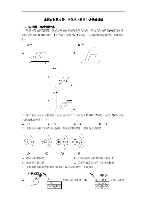 成都市树德实验中学初三化学上册期中试卷解析版