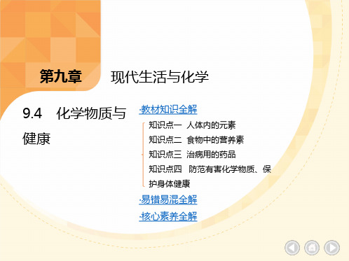 9.4 化学物质与健康习题课件----2023-2024学年九年级化学科粤版(2012)下册