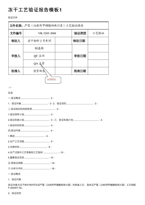 冻干工艺验证报告模板1