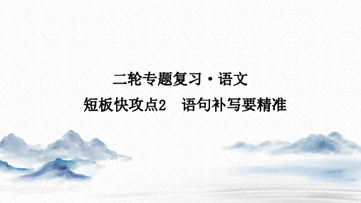 2020高考语文短板快攻点2