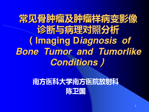 常见骨肿瘤影像诊断PPT课件