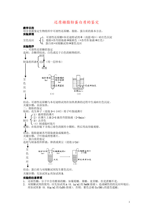 还原糖脂肪蛋白质的鉴定