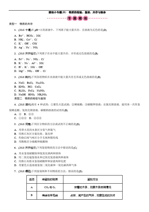 九年级化学小专题(六) 物质的检验、鉴别、共存与除杂