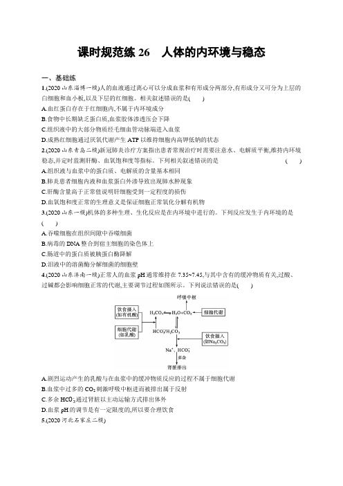 2022年(新教材)新高考生物一轮复习练习：课时规范练26 人体的内环境与稳态